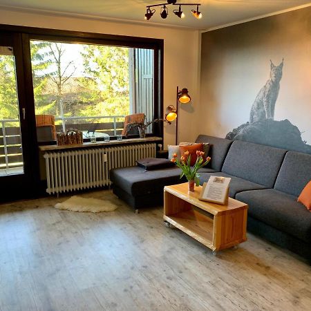 Luchsbutze Apartman Sankt Andreasberg Kültér fotó