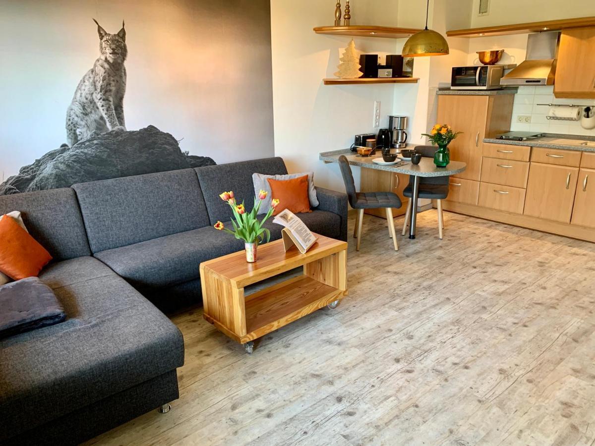 Luchsbutze Apartman Sankt Andreasberg Kültér fotó