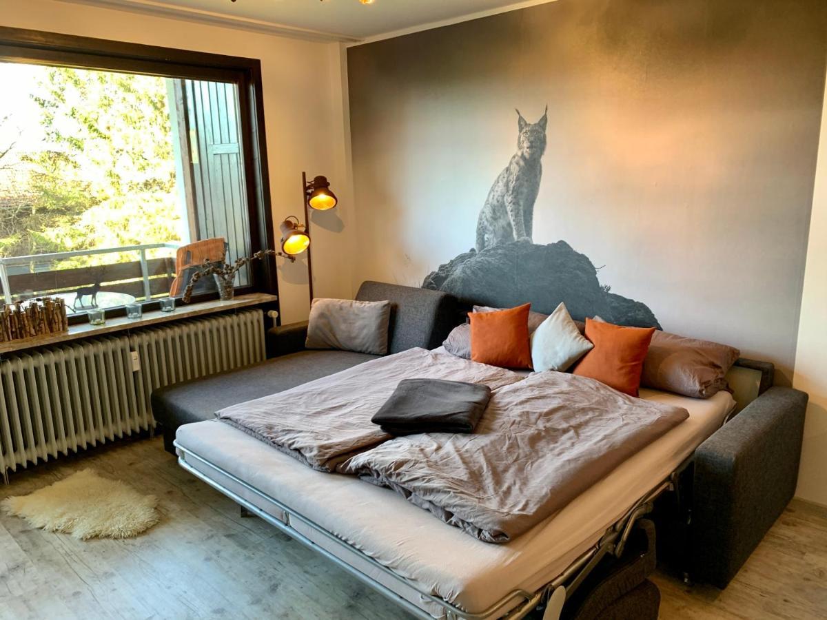 Luchsbutze Apartman Sankt Andreasberg Kültér fotó