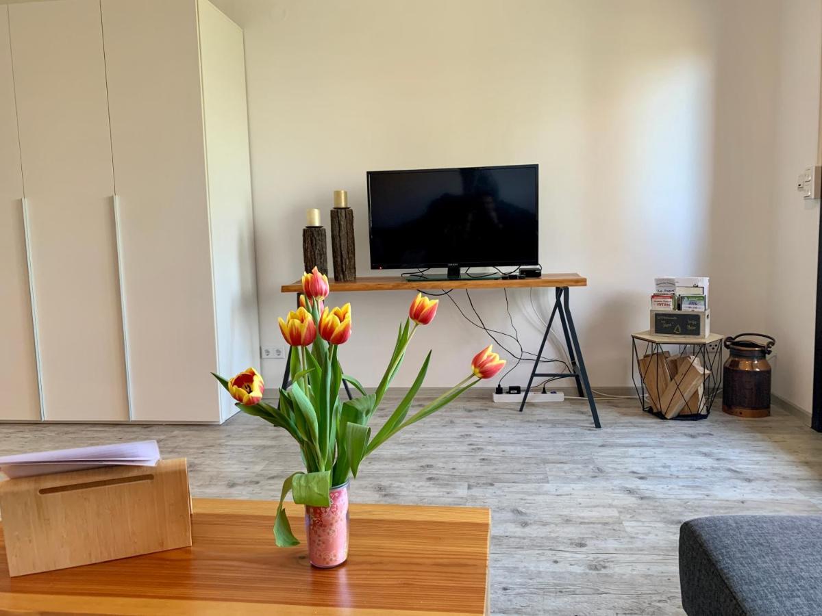 Luchsbutze Apartman Sankt Andreasberg Kültér fotó
