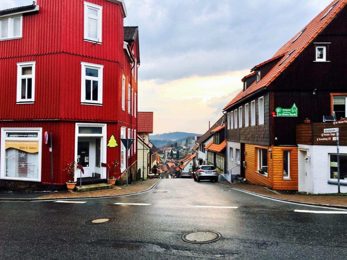 Luchsbutze Apartman Sankt Andreasberg Kültér fotó